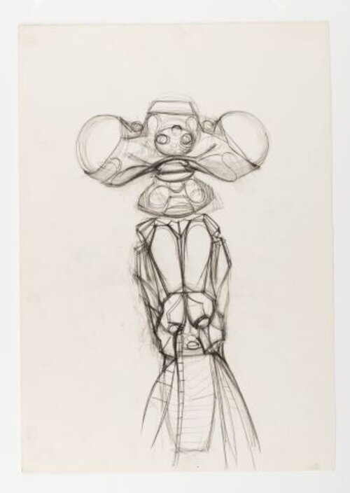 Libelle 1970